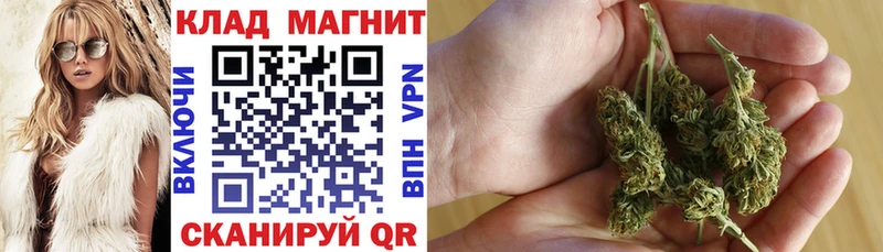 Какие есть наркотики Екатеринбург Бошки Шишки  Кокаин  ГАШ 