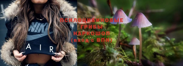 spice Абинск