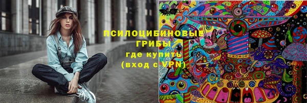 spice Костерёво