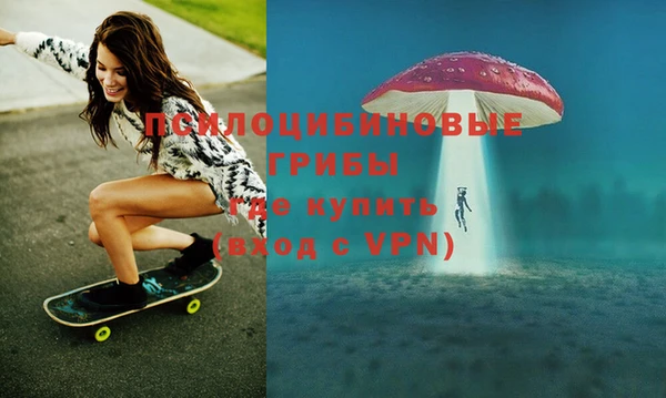 spice Абинск