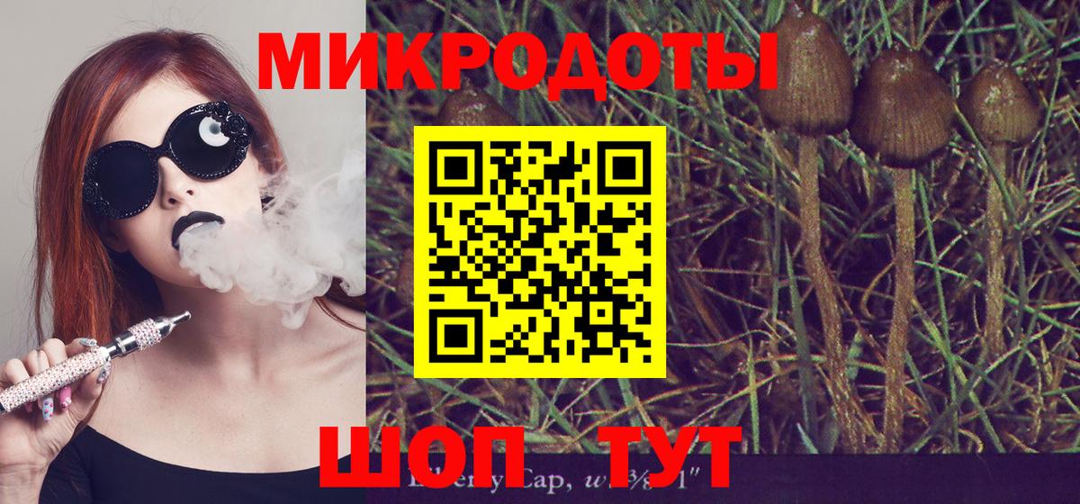 цены наркотик  Вход с VPN  Екатеринбург  Галлюциногенные грибы Psilocybe 
